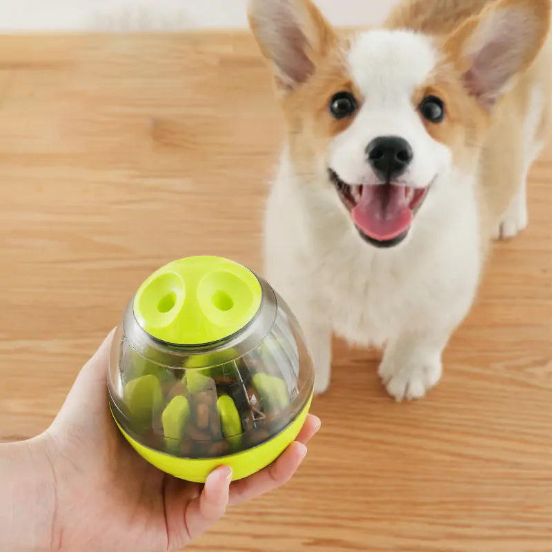 Pets IQ Interactive Treat Toy