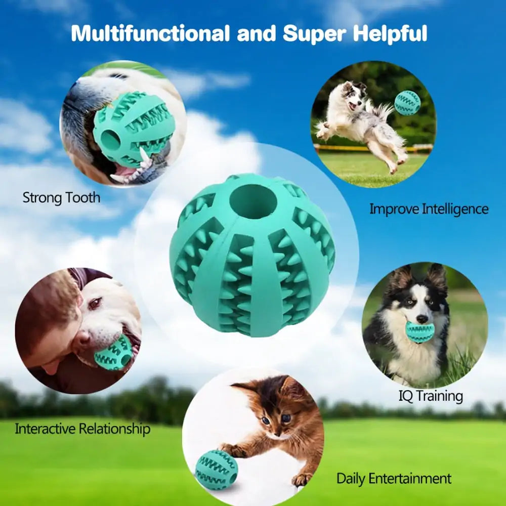 Tough Treat Ball for Pets