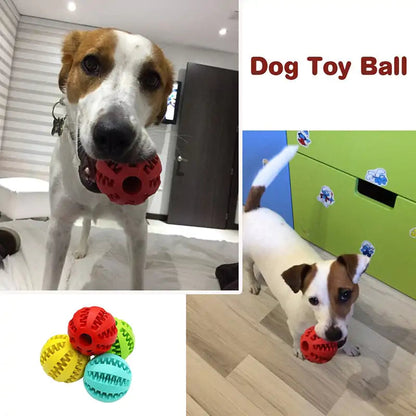 Tough Treat Ball for Pets